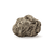 Ambergris
