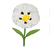 French Labdanum