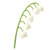 Lily of the valley