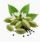 Cardamom