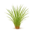 Vetiver